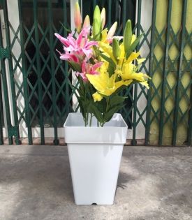 Chậu nhựa vuông 30x30x42