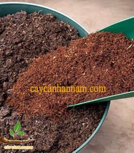 Xơ Dừa Trồng Cây