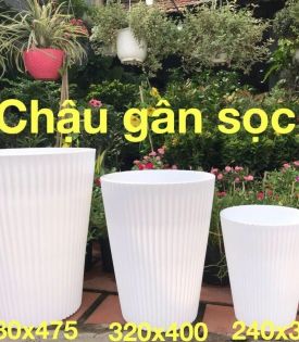 Chậu Vân Sọc D24H30