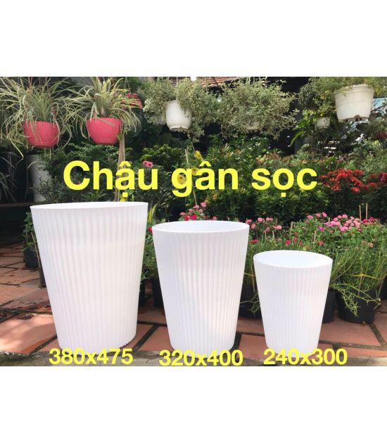 Chậu Vân Sọc D24H30