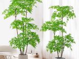 Bí Quyết Setup Cây Văn Phòng Đẹp Giúp Tăng Năng Suất Làm Việc