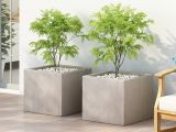Chậu Xi Măng – Sự Kết Hợp Hoàn Hảo Cho Cây Cảnh Nội Thất Hiện Đại